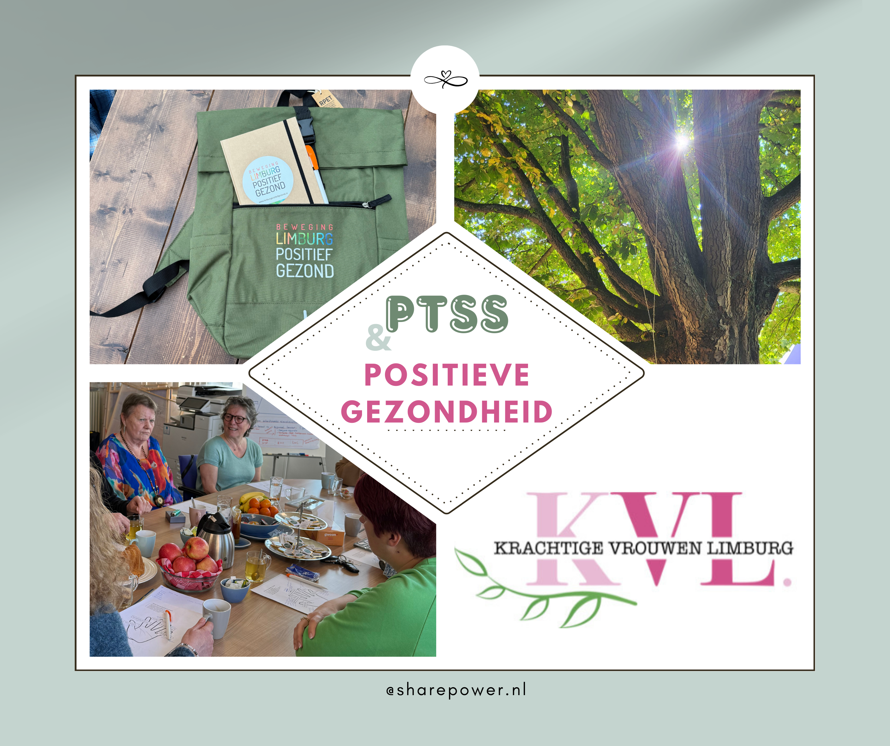 ptss--positieve-gezondheid-2.png