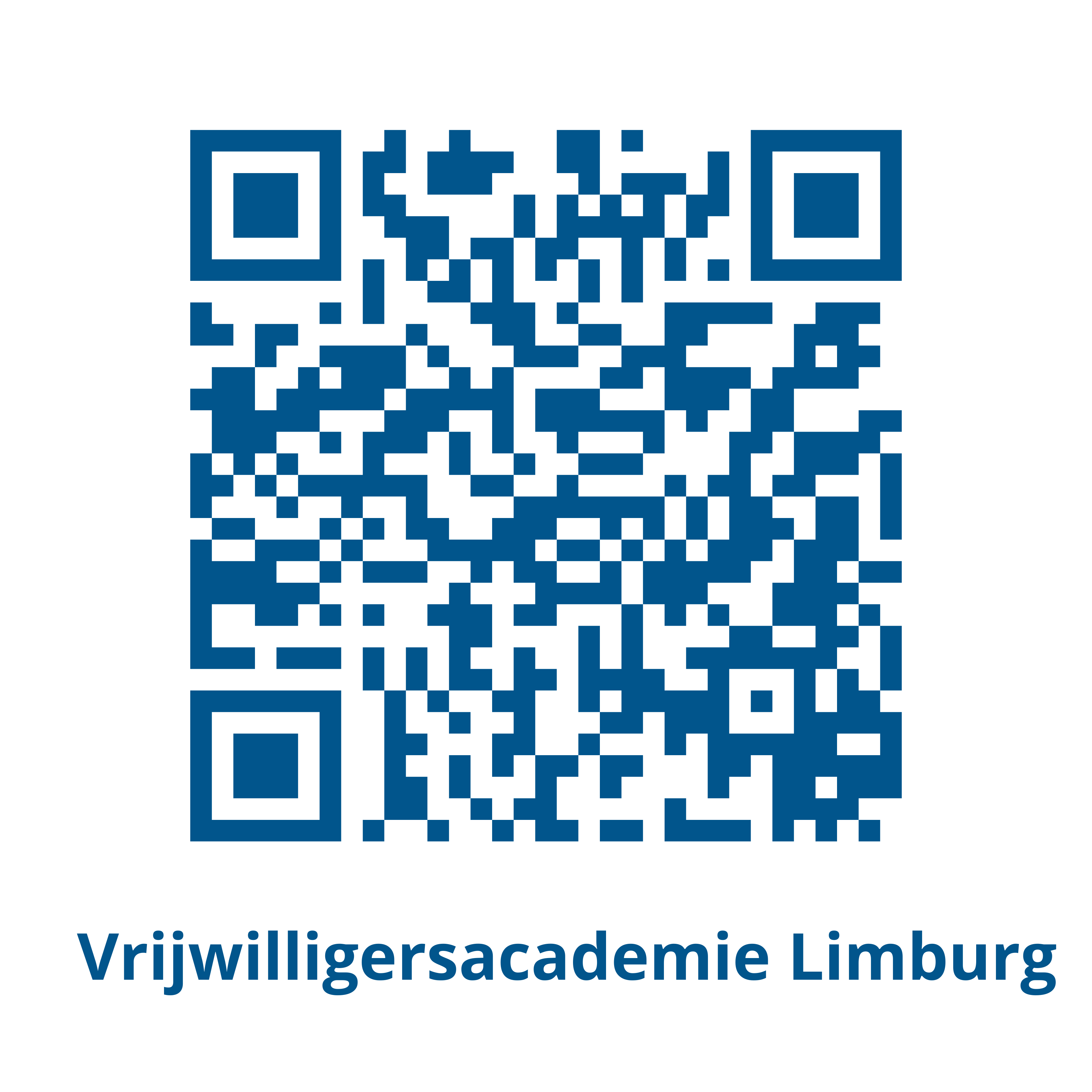 vrijwilligersacademie-limburg-3.png